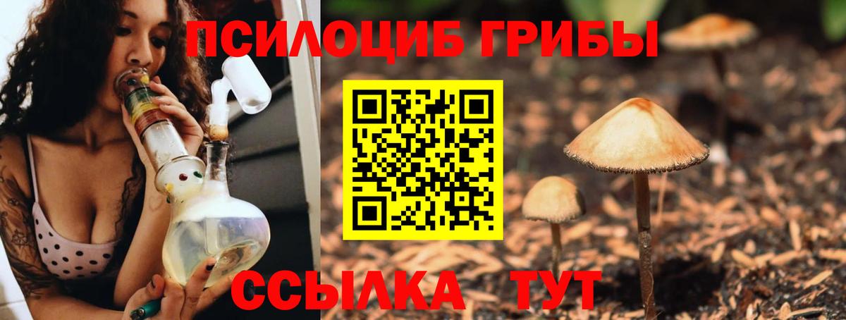 Псилоцибиновые грибы Psilocybine cubensis  купить наркоту  Кувандык  Вход с VPN 